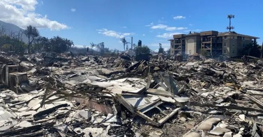 aftermath of Maui fires